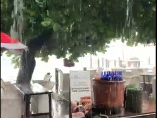 Bali Trip 2026 Report-second part