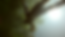 Snapshot29.png