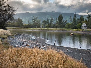 Etang du Gol à sec