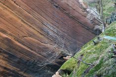Falaise du Cap Jaune