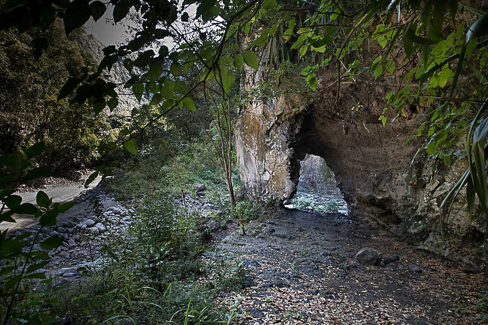 Bras de La Plaine