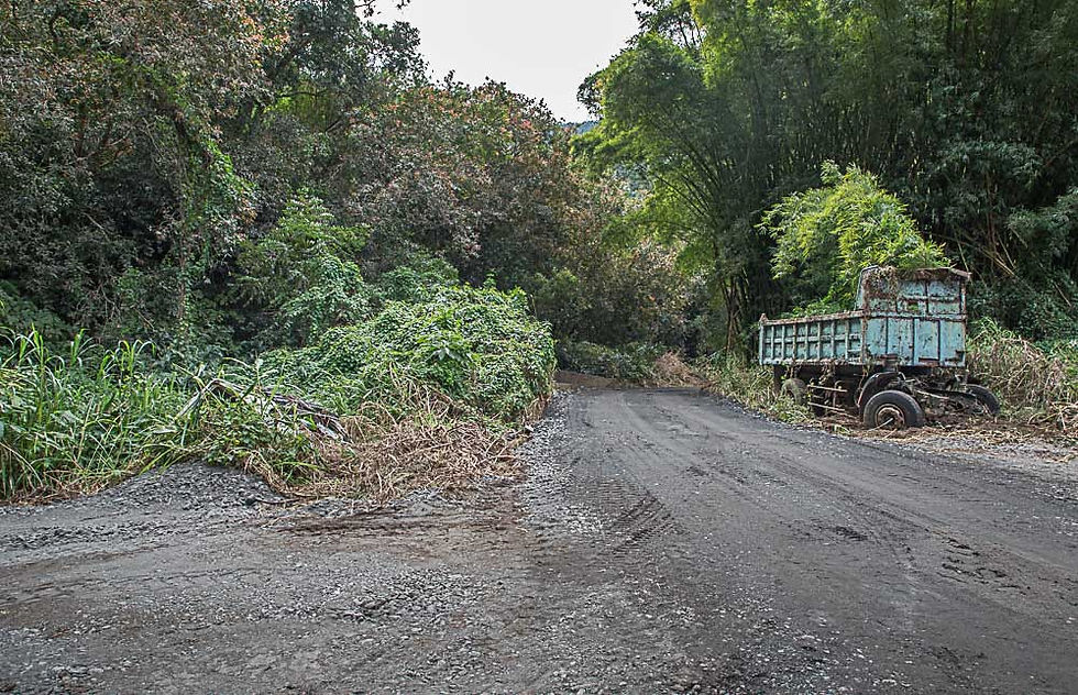 Bras de La Plaine