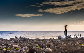 Galets à l'Etang du Gol