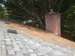 Roof and Gutter cleaning