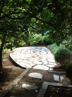 Stone Oasis
