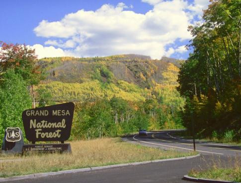 grandmesanationalforest_byway.jpeg