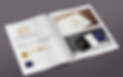 Branding Services in FL