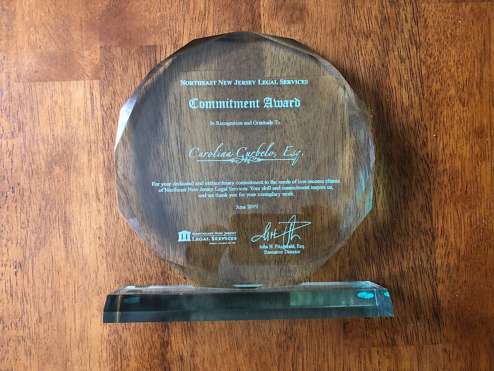 Pro Bono Award for Immigration Cases