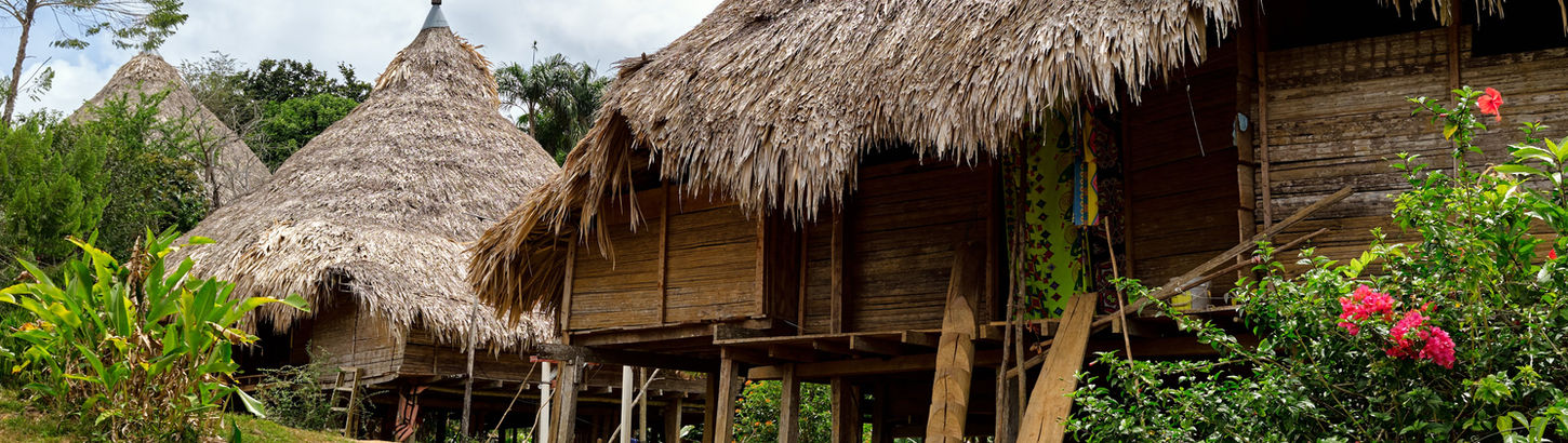 Traditional thatched-roof huts on stilts in a natural setting.