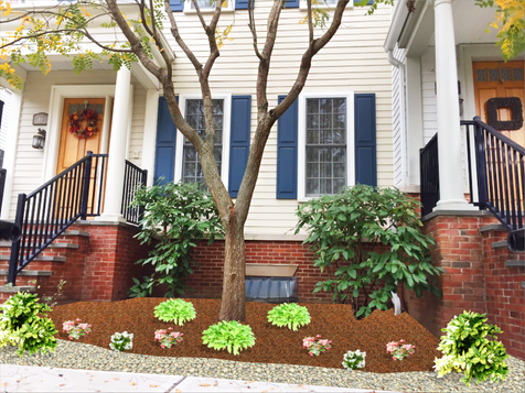 New Planting Design