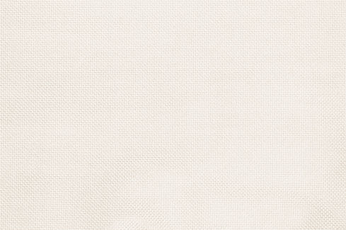 AdobeStock_205839891.jpeg