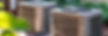 AdobeStock_1182519950.jpeg