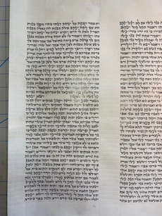 Torah Column 31