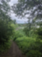 One of the Dirt "Trails" on Mt. Trashmore Evanston