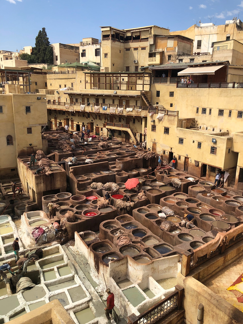 Leather Dying and Treatment at a Fez Tannery