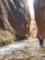 The Wall Street Section of the Narrows