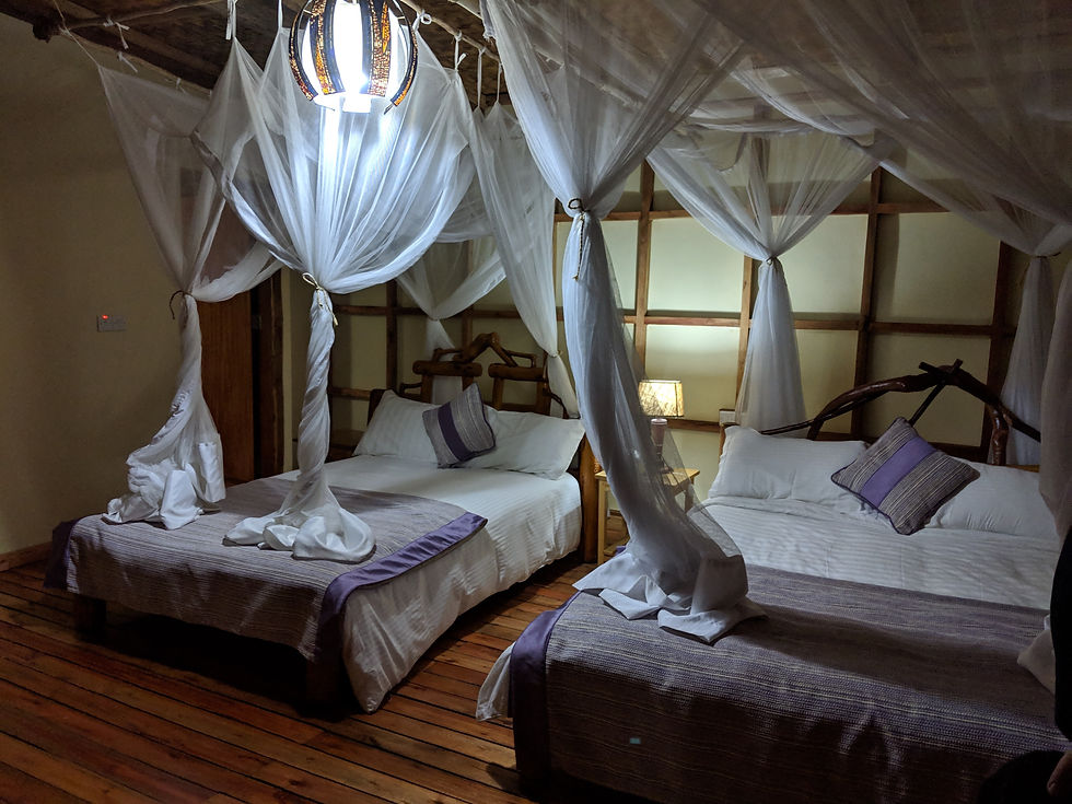 Beds in our Cottage at Buhoma Community Lodge Uganda