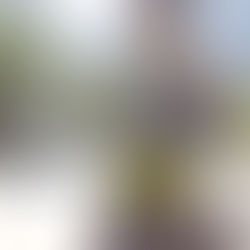 ALULU wearing CeliaB