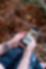 Phone.jpg