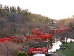 【青森県のモンゴル】モンゴルに対する農業技術協力について