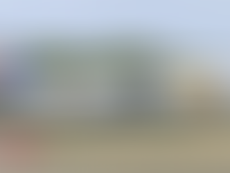 MIATモンゴル航空 Boeing 737-800 (JU-1015) 航空フォト