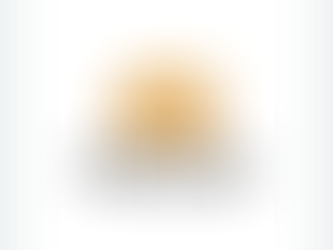 PORTFOLIO THEORIES IN THE CONTEXT OF PORTFOLIO MANAGEMENT