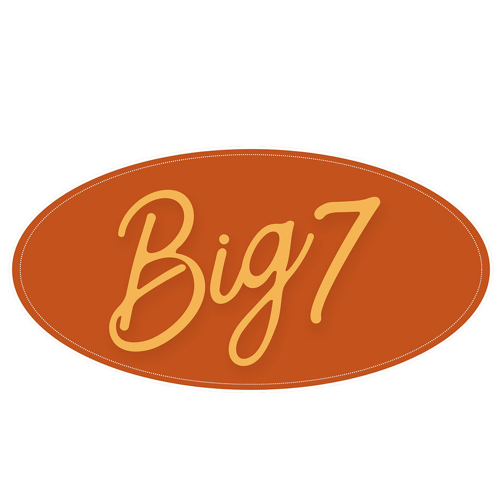Big 7 Business Solutions Small Logo