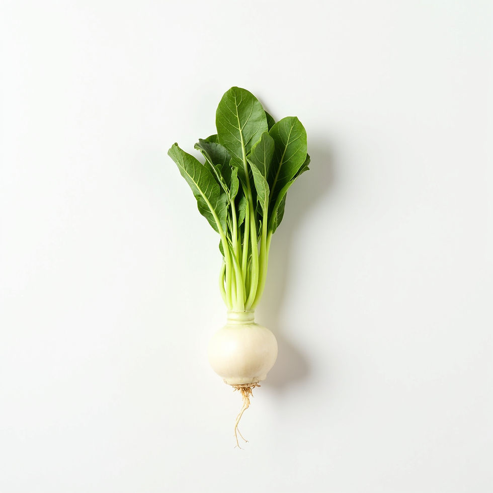Radish Micro Seed