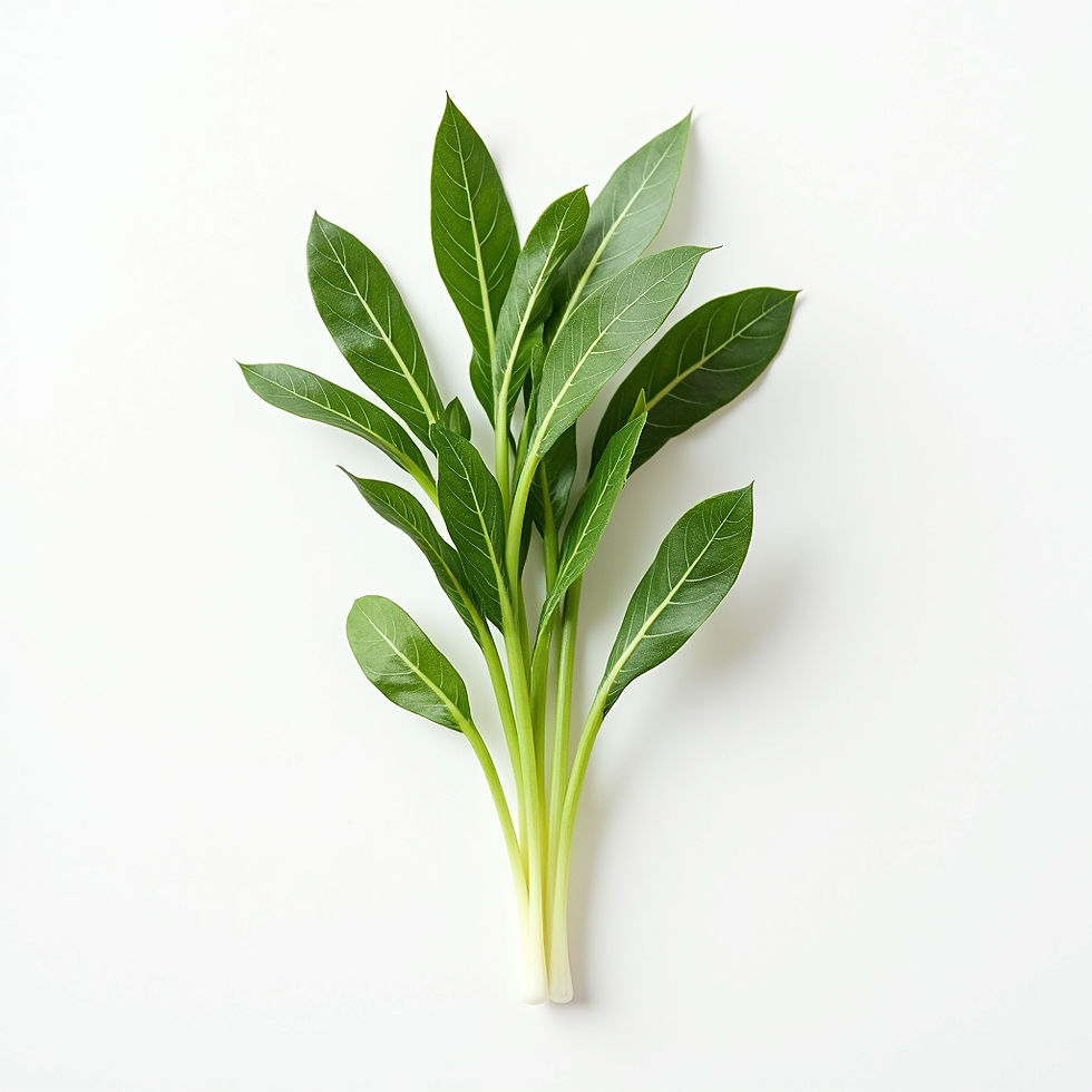 Arugula Micro Seed