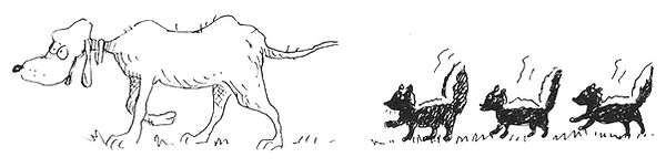 Skunk Dog Illustration.jpeg