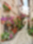 small-group-tours-italy-hilltown-spello-