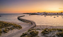 Concarneau offre aussi un littoral d'une grande douceur :
La Corniche : Une promenade charmante longe le bord de mer, dévoilant de belles villas d'architecture balnéaire et menant à des plages de sable fin.
Plage des Sables Blancs : Une des plages les plus réputées, parfaite pour le farniente et les activités nautiques.
Évasion : Concarneau est aussi le point d'embarquement vers l'Archipel des Glénan, un paradis insulaire aux eaux cristallines.