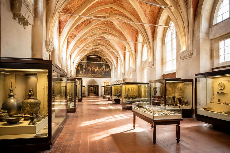 Since 1862, the château has housed some of humanity's oldest treasures found on French soil.
The Venus of Brassempouy: Admire one of the oldest known representations of a human face (approximately 25,000 years old), a remarkably delicate ivory statuette.
From Prehistory to the Merovingians: The exhibition takes you through the Bronze Age, the Iron Age, and the Gallo-Roman period, offering a fascinating glimpse into our origins.
Napoleon III's Throne Room: The emperor, a history enthusiast, was the driving force behind the creation of this museum; his influence is still visible in some of the decor.
