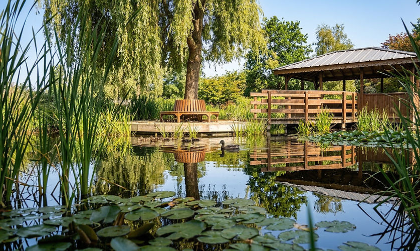 In the 19th century, Rueil-Malmaison became a popular Sunday destination for Parisians and painters alike, drawn to capture the ever-changing light of the river.
The Impressionists' Park: Directly inspired by Claude Monet's famous gardens in Giverny, this landscaped park of over one hectare is a botanical tribute to the masters of light. It is laid out around a large pond crossed by a wooden bridge, surrounded by water lilies, wisteria, and a fragrant rose garden.
The Banks of the Seine and the Towpath: Completely renovated, the quays of Rueil invite leisurely walks or bike rides. It was on these banks that Renoir, Manet, and Monet would set up their easels to paint the lively atmosphere of the riverside cafes, the boaters, and the silvery reflections on the water.
The Château de la Petite Malmaison: Located on the edge of the large parks, this Directoire-style pavilion was built for Josephine to serve as a transition between the main château and its former, enormous greenhouse. Its elegantly decorated salons evoke the tranquility of country retreats of the period.