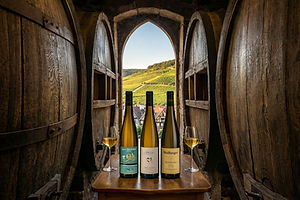 Eguisheim est le berceau historique du vignoble alsacien, situé sur la célèbre Route des Vins :
•	Dégustation : De nombreux domaines viticoles vous ouvrent leurs portes pour partager leur passion et vous faire déguster les Grands Crus locaux, notamment l'Eichberg et le Pfersigberg.
•	Sentier Viticole des Grands Crus : Un parcours balisé et pédagogique pour découvrir la vigne et comprendre le travail des vignerons.
•	Gastronomie : Profitez de votre séjour pour savourer les spécialités alsaciennes comme la Choucroute, le Baeckeoffe ou la Tarte Flambée, accompagnées des meilleurs vins d'Alsace.