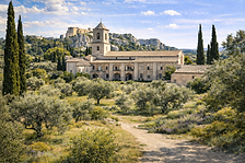 Le parc naturel régional des Alpilles est le royaume de l'olivier. Les moulins traditionnels y produisent une huile d'olive à l'appellation protégée (AOP), réputée pour ses arômes de foin coupé et d'amande. Une dégustation dans un domaine local est une étape incontournable pour saisir toute la richesse de ce terroir généreux.