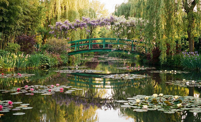 Devant la maison, Monet a conçu un jardin de fleurs comme il aurait composé une toile, jouant sur les volumes et les saisons.
L’Allée Centrale et ses Arceaux : Couverte de capucines rampantes et de roses grimpantes, elle offre une perspective majestueuse qui change de visage chaque mois.
La Diversité des Essences : Tulipes au printemps, iris en été, dahlias à l'automne... le jardin est une palette végétale où les fleurs sont mélangées selon leurs couleurs pour créer des contrastes saisissants.
Le Travail des Jardiniers : Une équipe d'experts entretient quotidiennement ce chef-d'œuvre horticole pour que la magie opère exactement comme au temps du peintre.