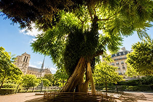 This is where the academic heart of France has beat since the Middle Ages, when Latin was the only language spoken.
The Sorbonne: Founded in 1253, this legendary university remains the global symbol of French academic excellence. Its chapel houses the tomb of Richelieu.
The Cluny Museum (National Museum of the Middle Ages): Housed in a former medieval mansion built on the site of Roman baths, it contains the famous Lady and the Unicorn tapestries.
Independent bookstores: The neighborhood is dotted with booksellers and specialist bookstores, including the legendary Shakespeare and Company, a true haven for English-language writers opposite Notre-Dame Cathedral.