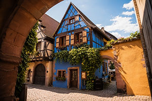 On ne peut dissocier Riquewihr de son prestigieux vignoble, réputé pour produire parmi les meilleurs vins blancs du monde.
Le Sentier Viticole des Grands Crus : Une superbe promenade au départ du village qui grimpe au milieu des vignes. Des panneaux explicatifs détaillent le travail des viticulteurs et la géologie particulière qui donne naissance aux célèbres cépages (Riesling, Gewurztraminer, Pinot Gris).
Le Grand Cru Schoenenbourg : Ce coteau exposé plein sud surplombe le village. C’est le terroir roi de Riquewihr, célèbre depuis le Moyen Âge pour donner des Rieslings d’une garde exceptionnelle et d’une minéralité d'une grande finesse.
Les caves séculaires : Le village est truffé de domaines viticoles familiaux historiques. Descendre dans leurs caves fraîches, au milieu des foudres en chêne centenaires, est un rituel incontournable pour une dégustation commentée.