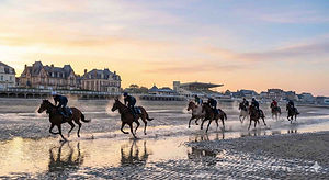 Deauville vibre au rythme du galop. Ville du cheval par excellence, elle offre un spectacle permanent pour les amateurs d'équitation.

Le matin sur la plage : Levez-vous tôt pour assister à l'entraînement des chevaux de course sur le sable à marée basse. Un moment de grâce absolue, nimbé de brume marine.

Les Hippodromes : Que ce soit à La Touques (pour le plat) ou à Clairefontaine (pour l'obstacle), assistez à une course dans une ambiance à la fois fiévreuse et élégante.

Le Casino Barrière : Le soir venu, la ville scintille. Le Casino, avec sa façade blanche majestueuse face à la mer, invite à tenter sa chance dans une atmosphère feutrée digne de James Bond.