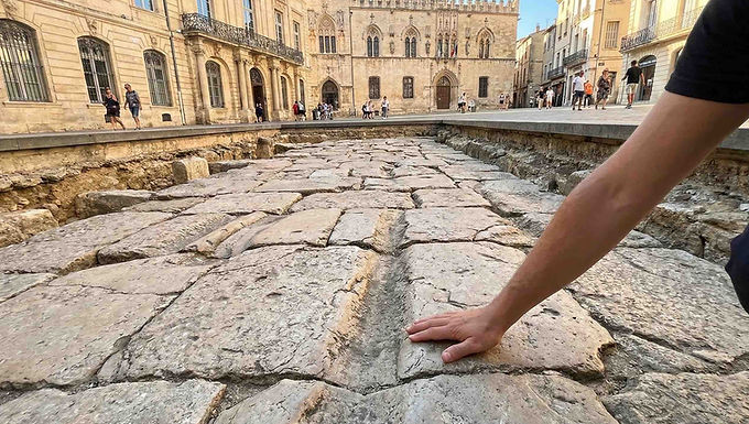 Narbonne est une ville d'eau. Le Canal de la Robine, classé au patrimoine mondial de l'UNESCO, traverse la ville comme un ruban de fraîcheur. Ses berges, ombragées par des platanes centenaires, sont l'endroit idéal pour une promenade digestive ou une balade à vélo jusqu'à l'étang de Bages-Sigean, où l'on peut observer les flamants roses au coucher du soleil.