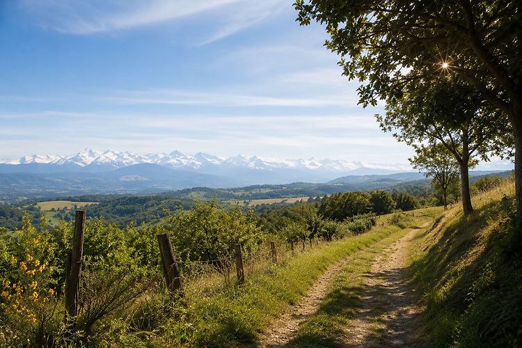 Labellisée Station Verte, la commune offre de superbes échappées nature entre cours d'eau et collines vallonnées.
La Randonnée du Balcon des Pyrénées : Un circuit pédestre accessible et balisé d'environ 7 km (2 heures de marche tranquille). Au printemps, les sentiers offrent des panoramas saisissants sur la chaîne des Pyrénées encore enneigée.
Le Chemin des Mules : Une boucle de 5 à 11 km selon les variantes, idéale pour s'imprégner de la campagne environnante et rejoindre les abords sauvages du fleuve Garonne.
La Via Garona (GR861) : Rieux-Volvestre est une halte privilégiée sur ce chemin de grande randonnée pédestre et tracé historique des pèlerins en route vers Saint-Jacques-de-Compostelle.