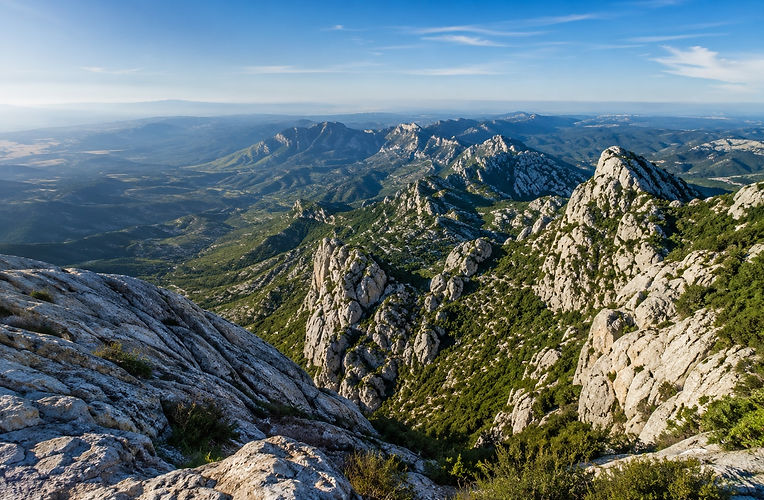 The microclimate of the Alpilles, swept by the powerful Mistral wind that purifies the crops, is the cradle of exceptionally high-quality local products.
The PDO Olive Oil of the Vallée des Baux-de-Provence: The Alpilles boast millions of olive trees. A visit to the traditional mills of Maussane-les-Alpilles or Mouriès (France's leading olive-growing town) reveals a vibrant oil with notes of fresh hay or artichoke, extracted from unique local varieties such as Salonenque and Béruguette.
The wines of the PDO Les Baux-de-Provence: A pioneer in organic and biodynamic viticulture, this exclusive vineyard flourishes on the rocky slopes. The often spectacular estates produce powerful reds and luscious rosés born from the very rock.