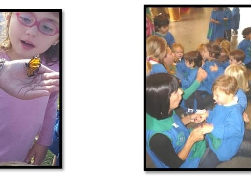 Un maestro…Co-constructor de aprendizajes