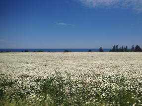 IMG_1066.JPG