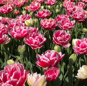 6 Steps To Make Change Real This Spring