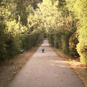 Finding Glimmers This Fall: Embracing Small Moments of Joy in the Messy Middle