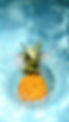 SOC 2024 Signup_edited.jpg