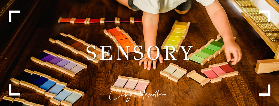 sensory senses