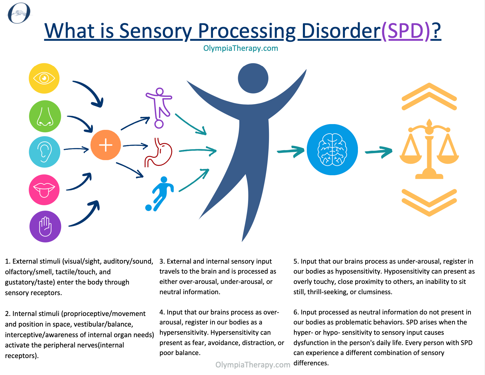 Sensory senses explained